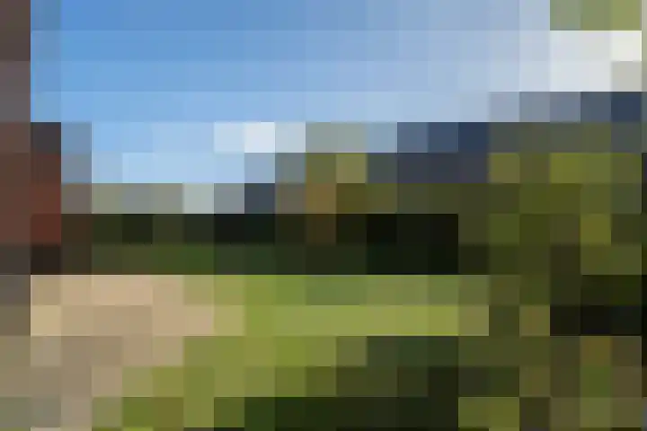 Veenmos 4 Reuver thumbnail 26