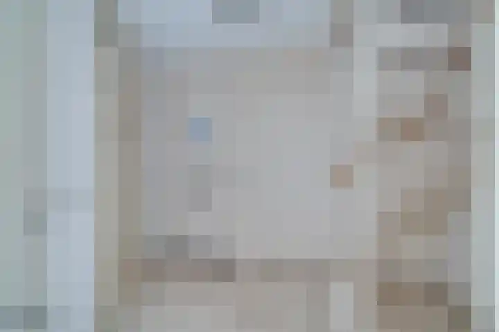 Veenmos 4 Reuver thumbnail 28