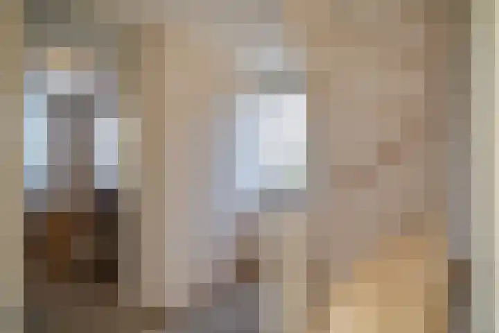 Veenmos 4 Reuver thumbnail 30