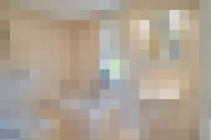 Veenmos 4 Reuver thumbnail 34