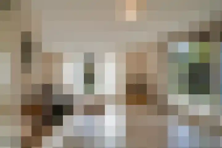 Veenmos 4 Reuver thumbnail 4