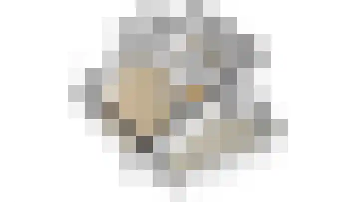 Veenmos 4 Reuver thumbnail 42