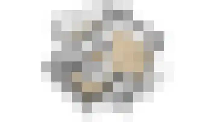 Veenmos 4 Reuver thumbnail 43
