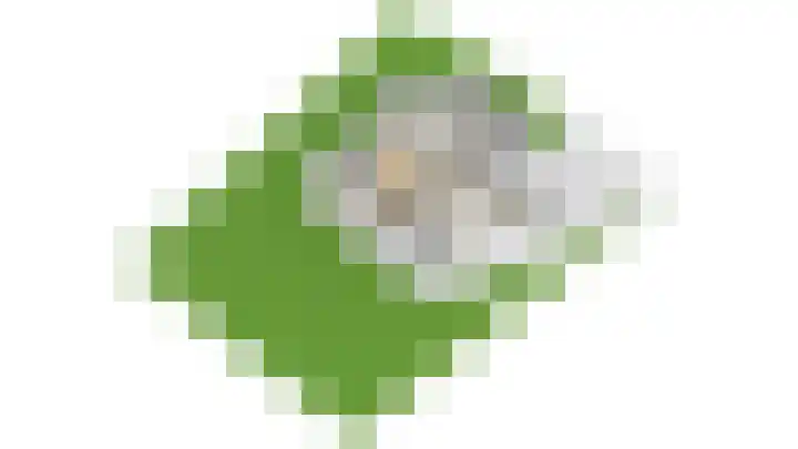 Veenmos 4 Reuver thumbnail 48