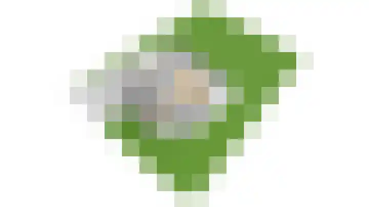 Veenmos 4 Reuver thumbnail 49