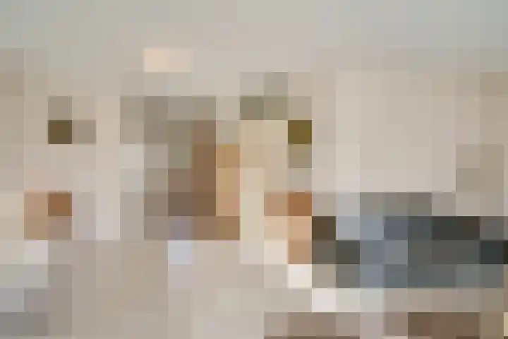 Veenmos 4 Reuver thumbnail 7