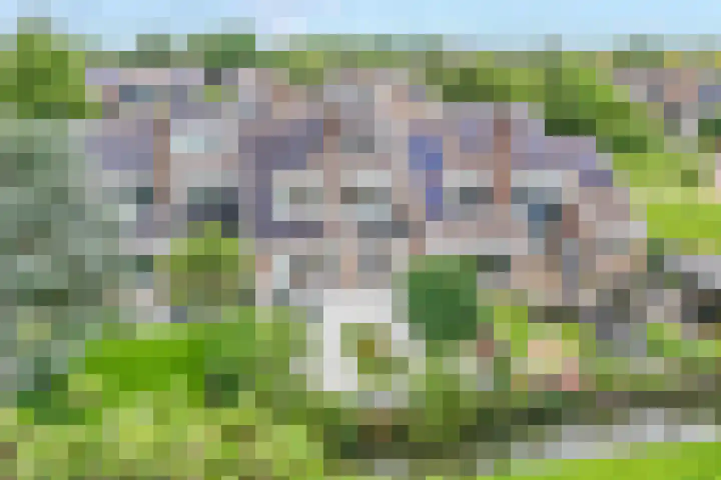 Veenmos 42 Nieuwerkerk aan den IJssel