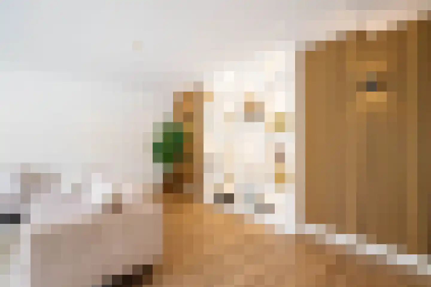 Veenmos 42 Nieuwerkerk aan den IJssel thumbnail 13
