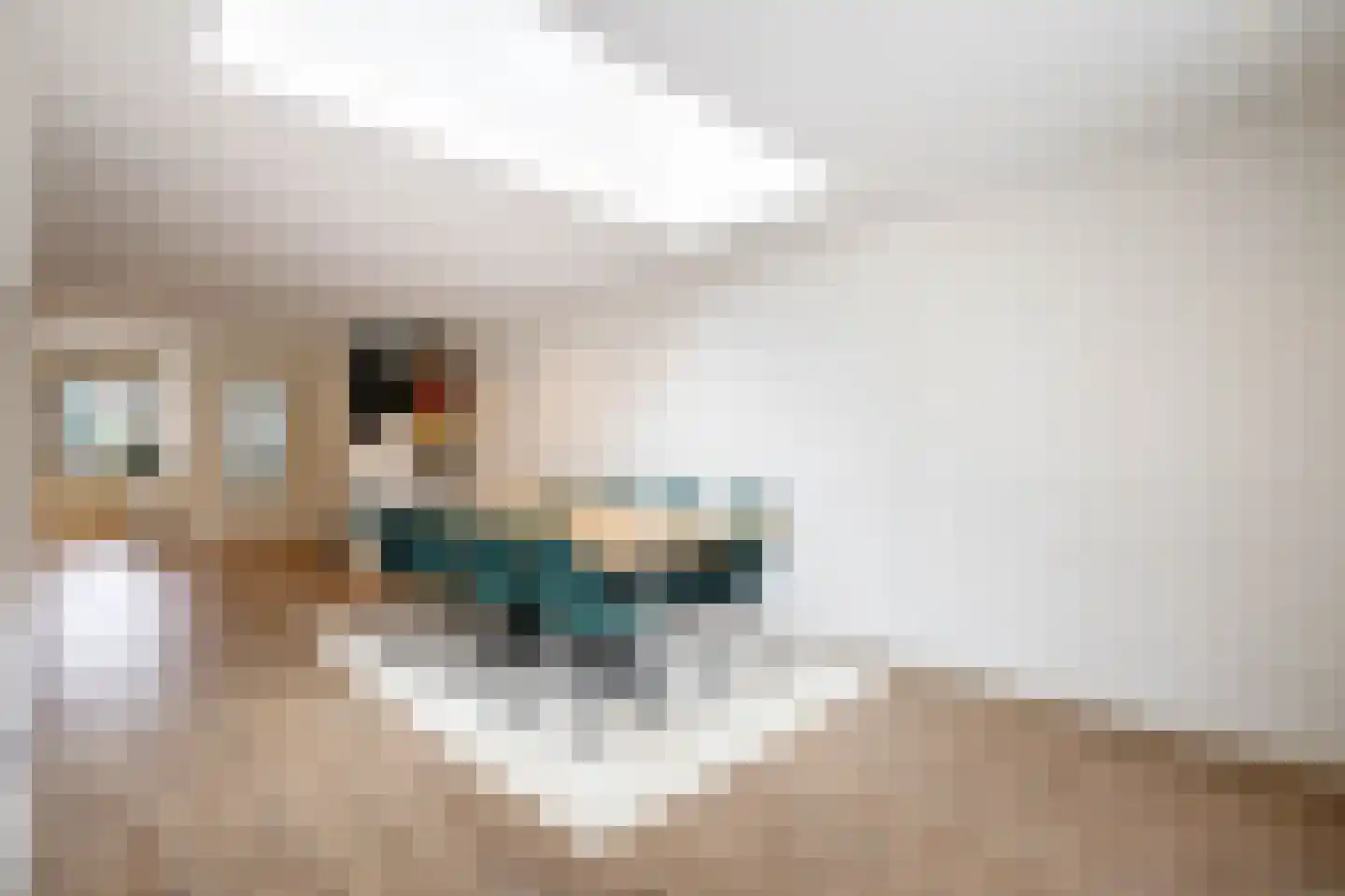 Veenmos 42 Nieuwerkerk aan den IJssel thumbnail 17