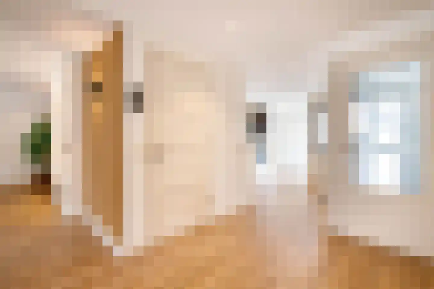 Veenmos 42 Nieuwerkerk aan den IJssel thumbnail 17