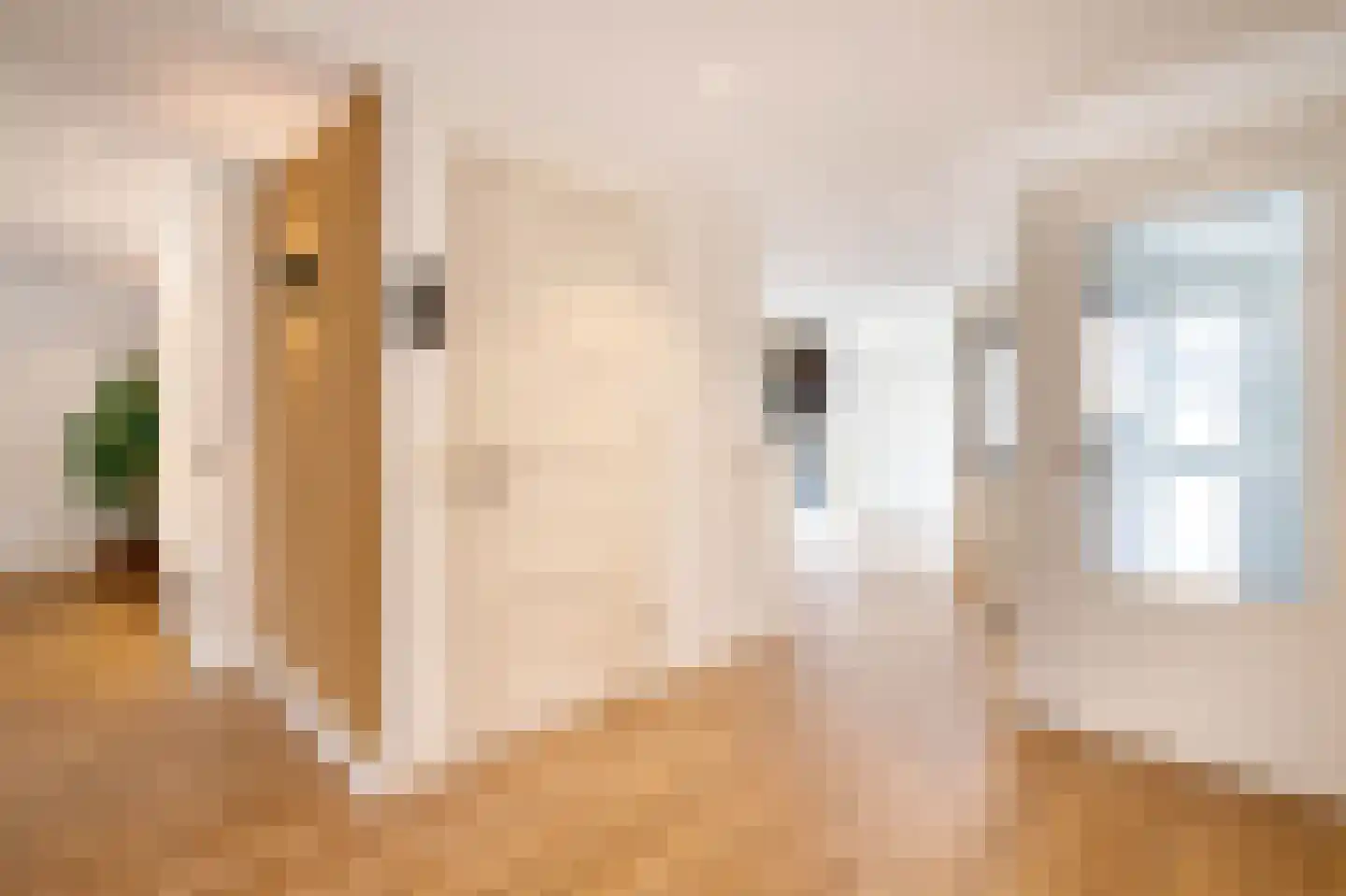 Veenmos 42 Nieuwerkerk aan den IJssel thumbnail 18