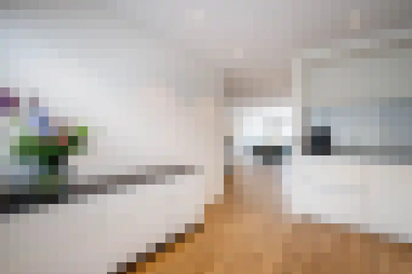 Veenmos 42 Nieuwerkerk aan den IJssel thumbnail 23
