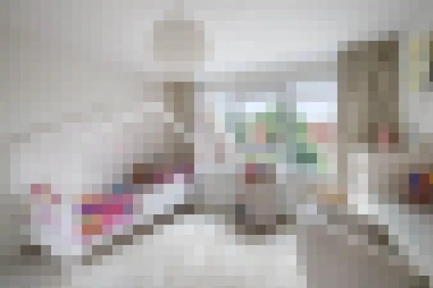Veenmos 42 Nieuwerkerk aan den IJssel thumbnail 26