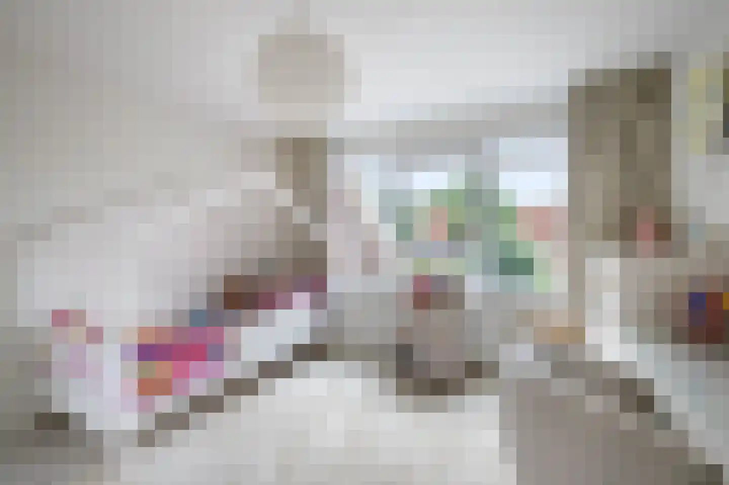 Veenmos 42 Nieuwerkerk aan den IJssel thumbnail 27