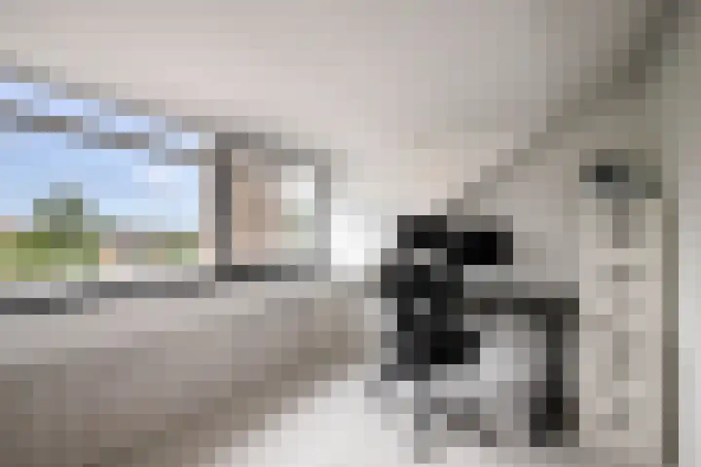 Veenmos 42 Nieuwerkerk aan den IJssel thumbnail 30