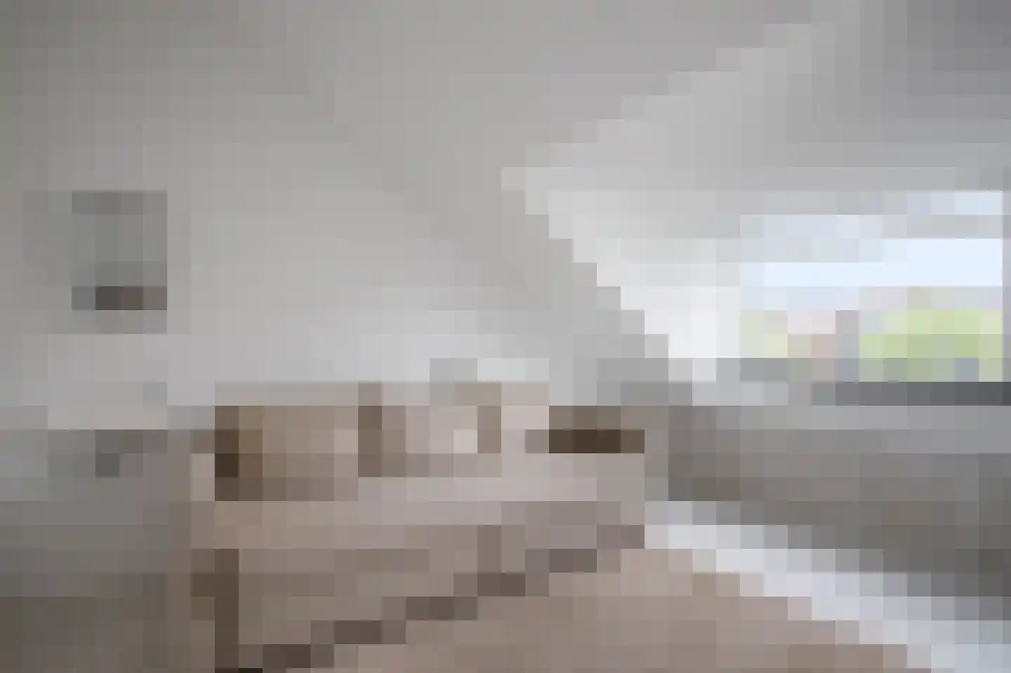 Veenmos 42 Nieuwerkerk aan den IJssel thumbnail 31