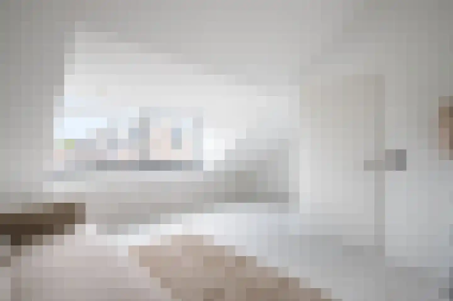 Veenmos 42 Nieuwerkerk aan den IJssel thumbnail 33