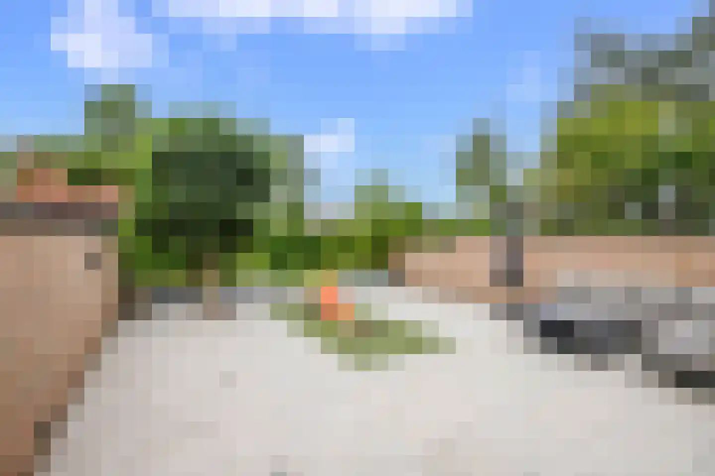 Veenmos 42 Nieuwerkerk aan den IJssel thumbnail 34