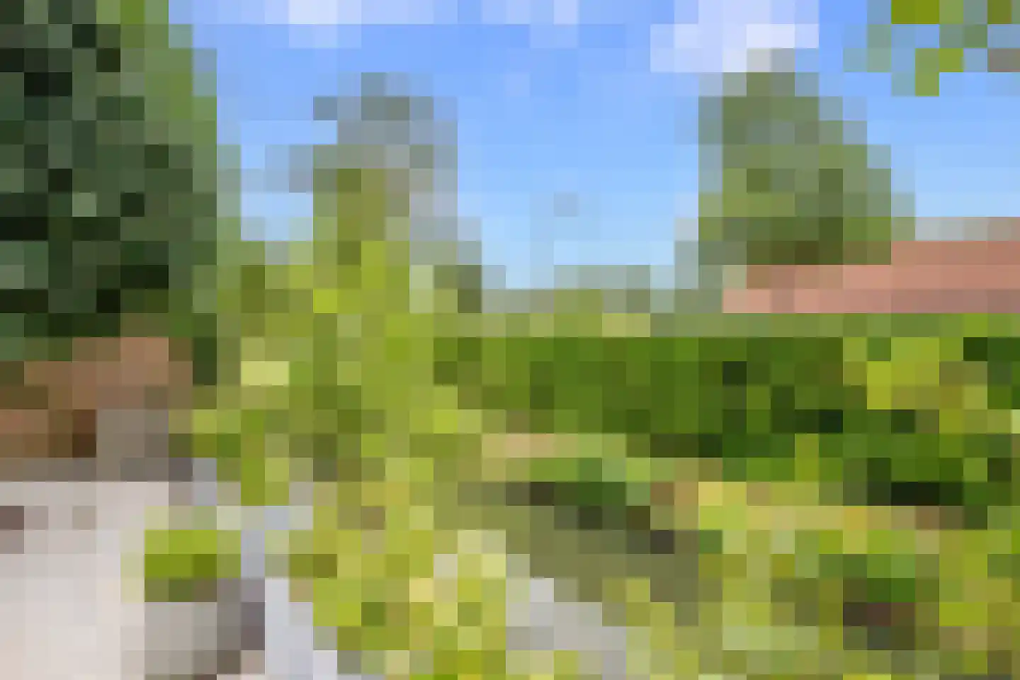 Veenmos 42 Nieuwerkerk aan den IJssel thumbnail 34