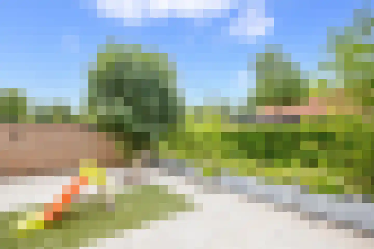 Veenmos 42 Nieuwerkerk aan den IJssel thumbnail 36