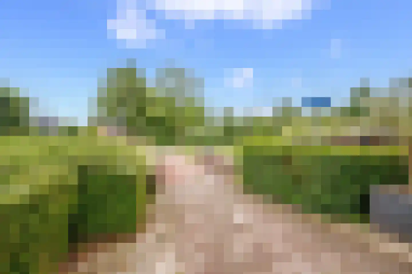 Veenmos 42 Nieuwerkerk aan den IJssel thumbnail 39