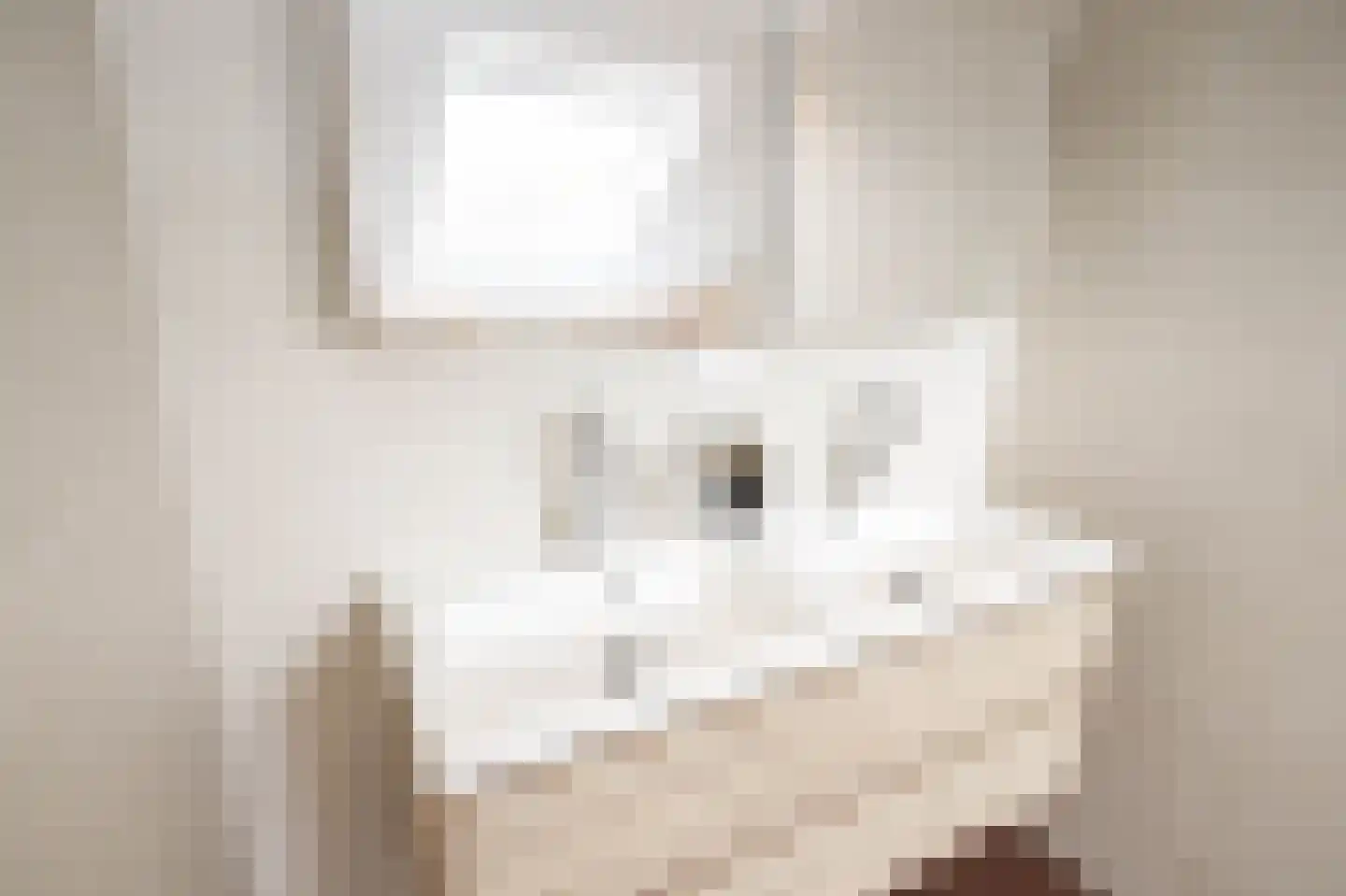 Veenmos 42 Nieuwerkerk aan den IJssel thumbnail 39