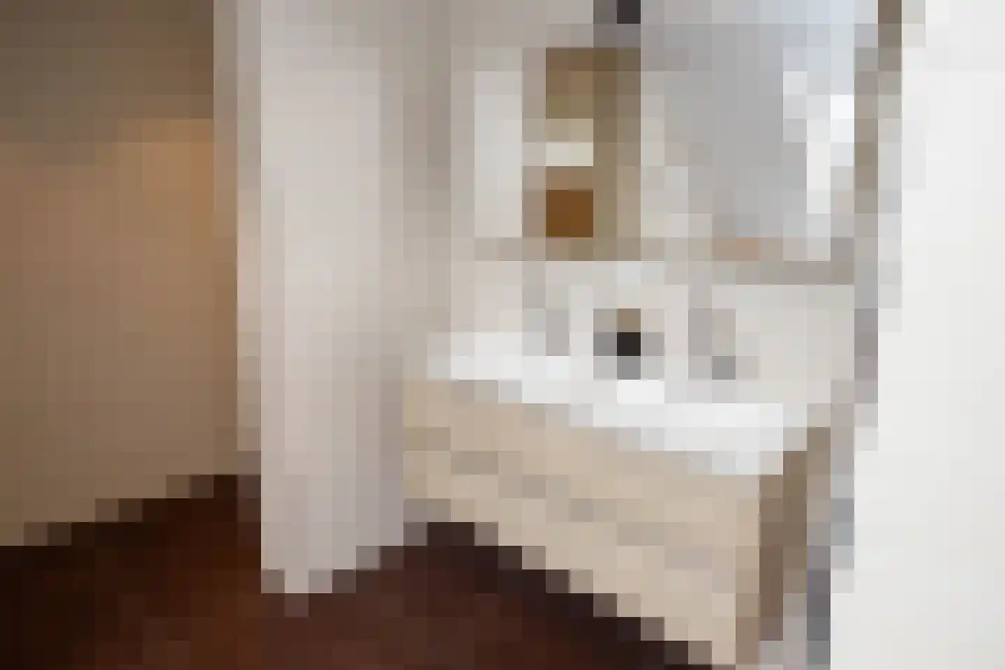 Veenmos 42 Nieuwerkerk aan den IJssel thumbnail 40