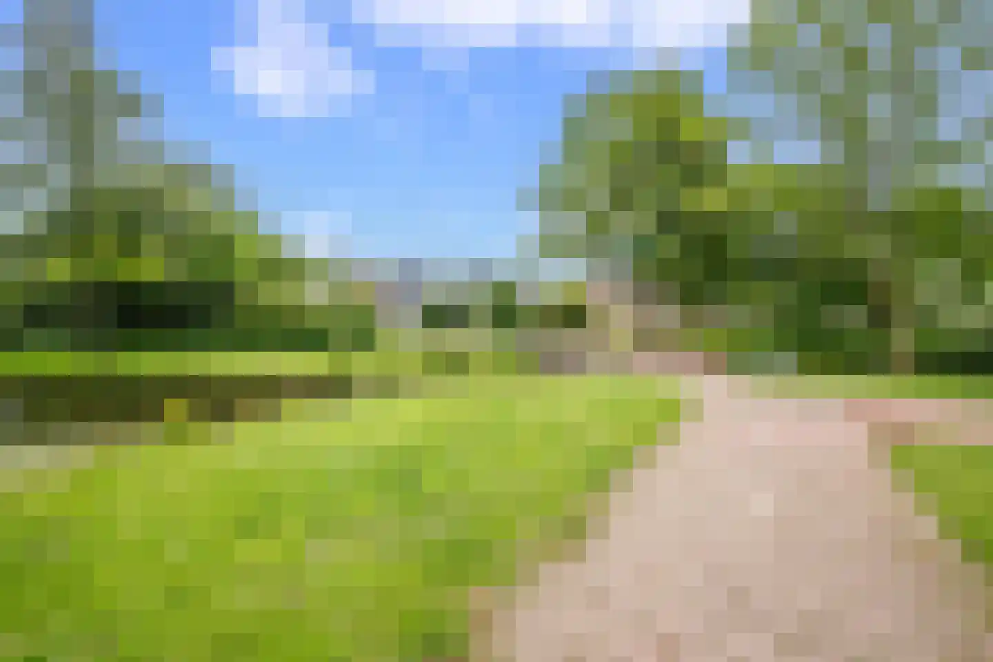 Veenmos 42 Nieuwerkerk aan den IJssel thumbnail 40