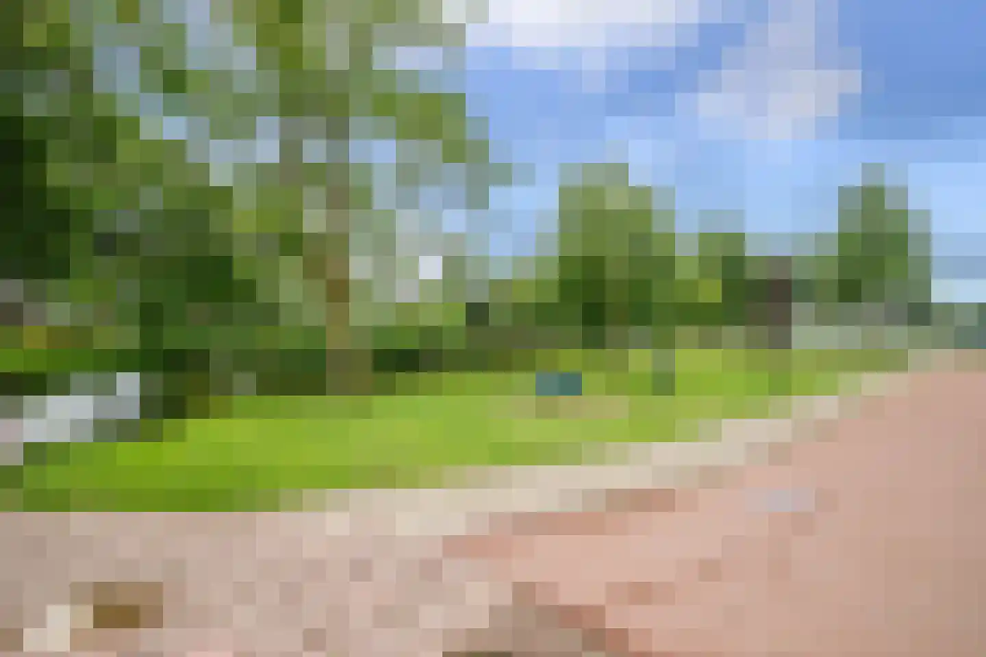 Veenmos 42 Nieuwerkerk aan den IJssel thumbnail 41