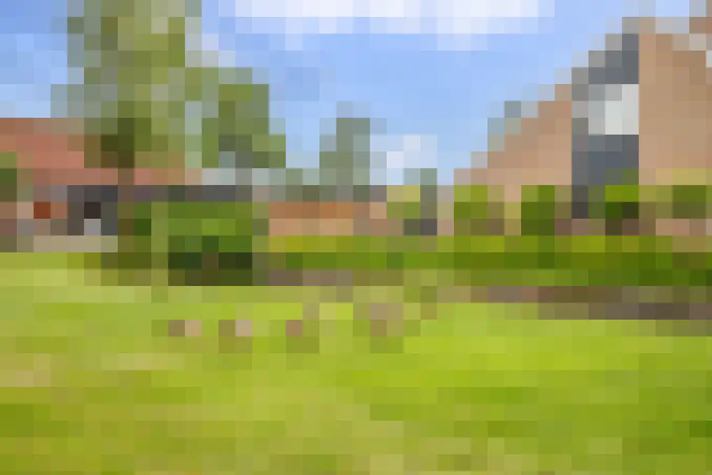 Veenmos 42 Nieuwerkerk aan den IJssel thumbnail 42