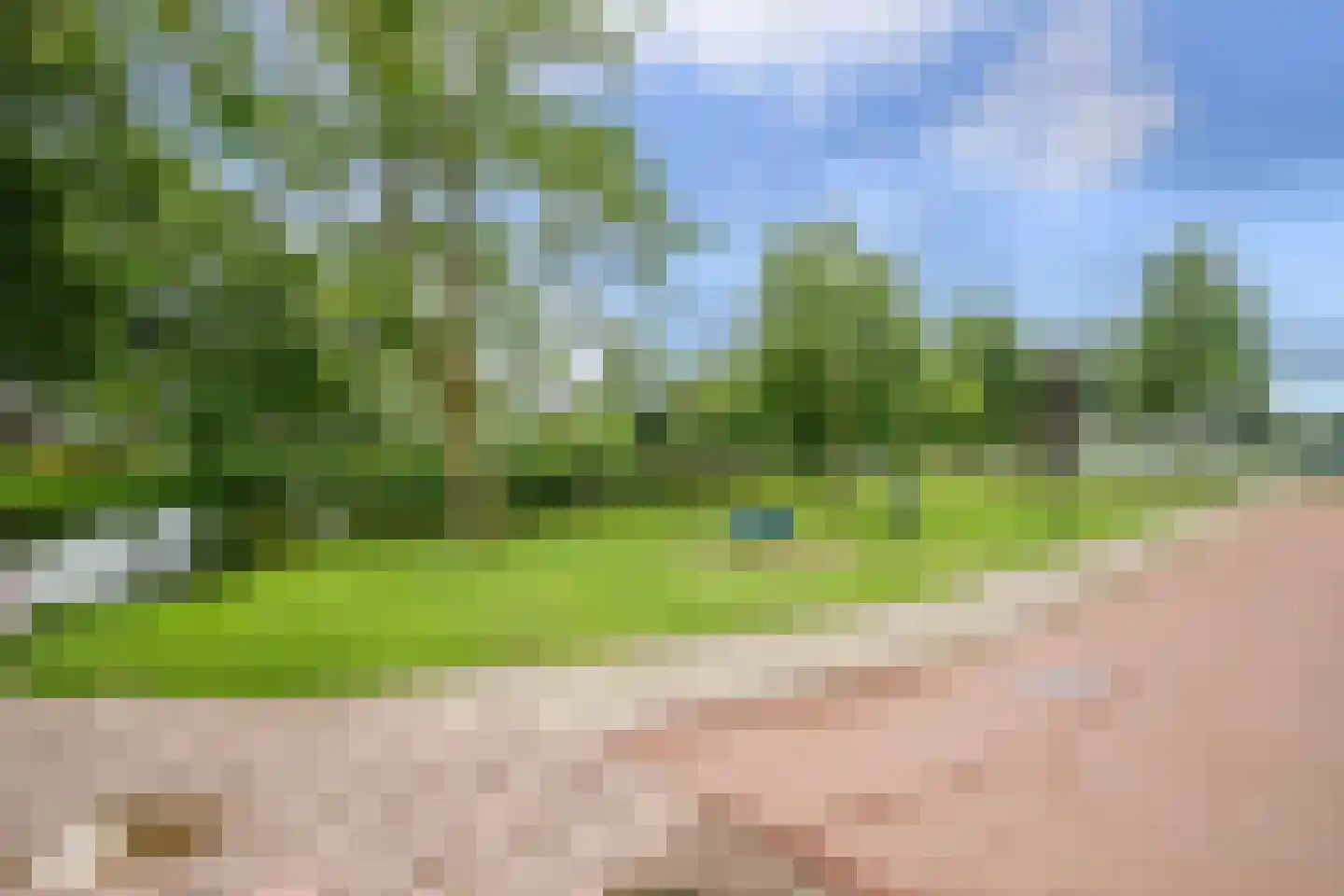 Veenmos 42 Nieuwerkerk aan den IJssel thumbnail 42