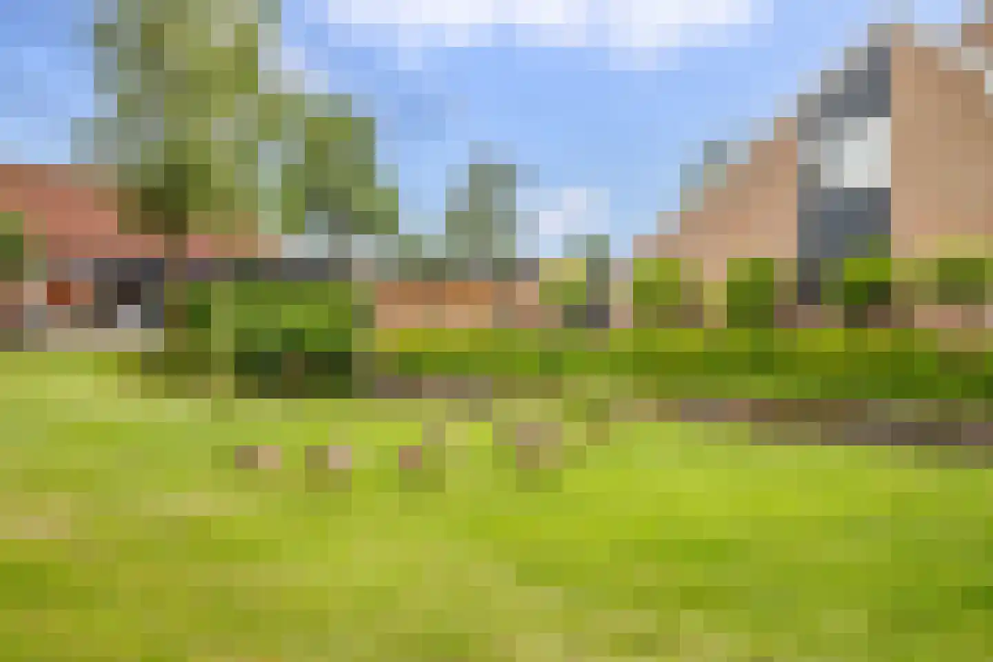 Veenmos 42 Nieuwerkerk aan den IJssel thumbnail 43