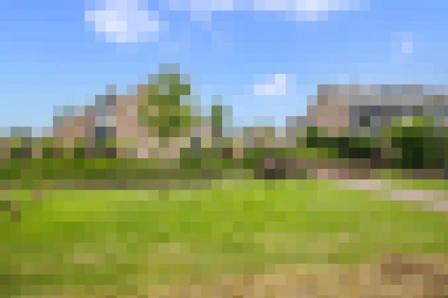 Veenmos 42 Nieuwerkerk aan den IJssel thumbnail 44
