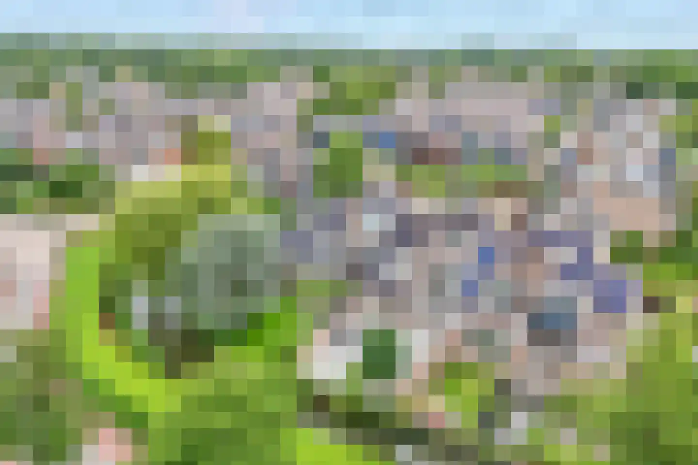 Veenmos 42 Nieuwerkerk aan den IJssel thumbnail 47