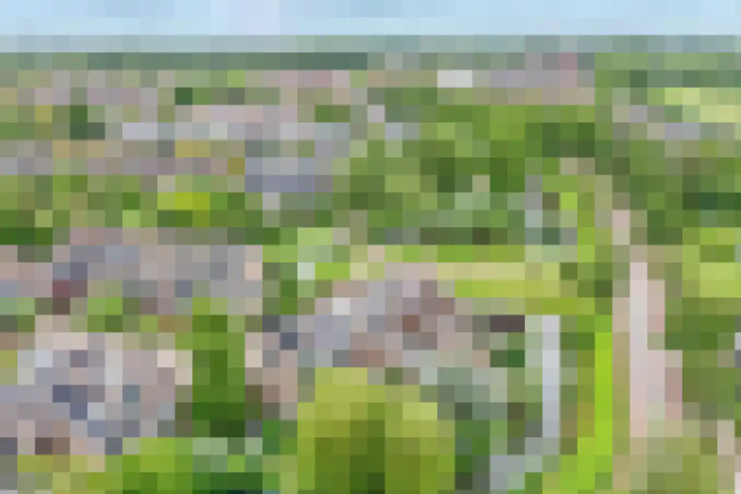 Veenmos 42 Nieuwerkerk aan den IJssel thumbnail 48