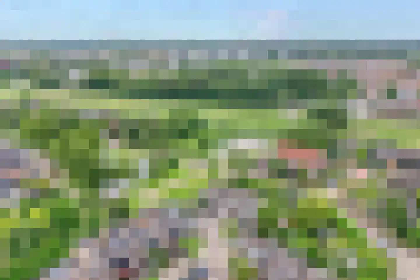 Veenmos 42 Nieuwerkerk aan den IJssel thumbnail 49