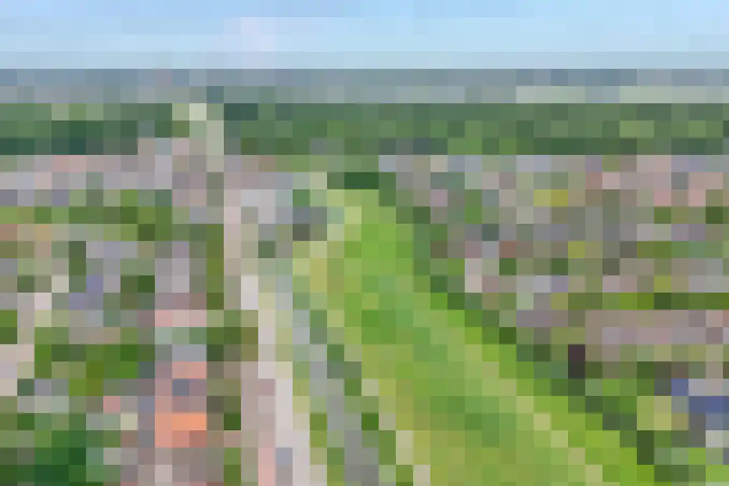Veenmos 42 Nieuwerkerk aan den IJssel thumbnail 51