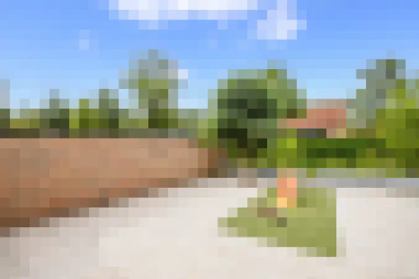 Veenmos 42 Nieuwerkerk aan den IJssel thumbnail 52