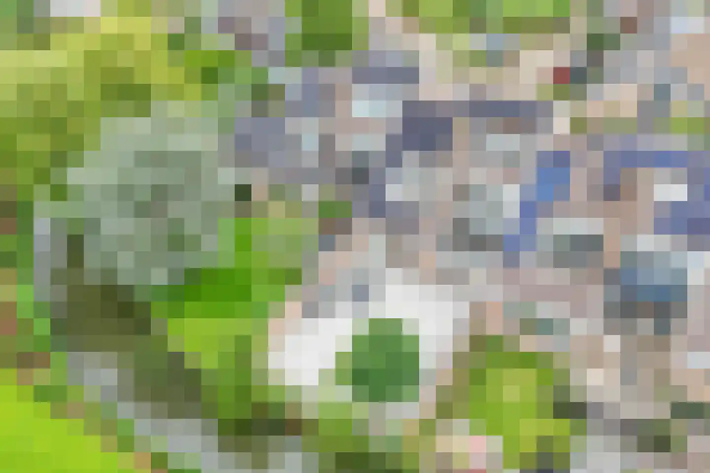 Veenmos 42 Nieuwerkerk aan den IJssel thumbnail 64