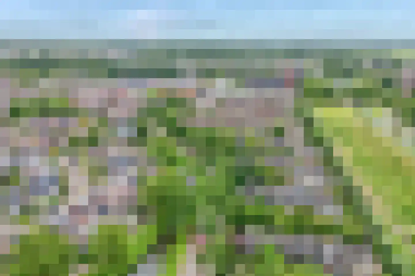 Veenmos 42 Nieuwerkerk aan den IJssel thumbnail 67