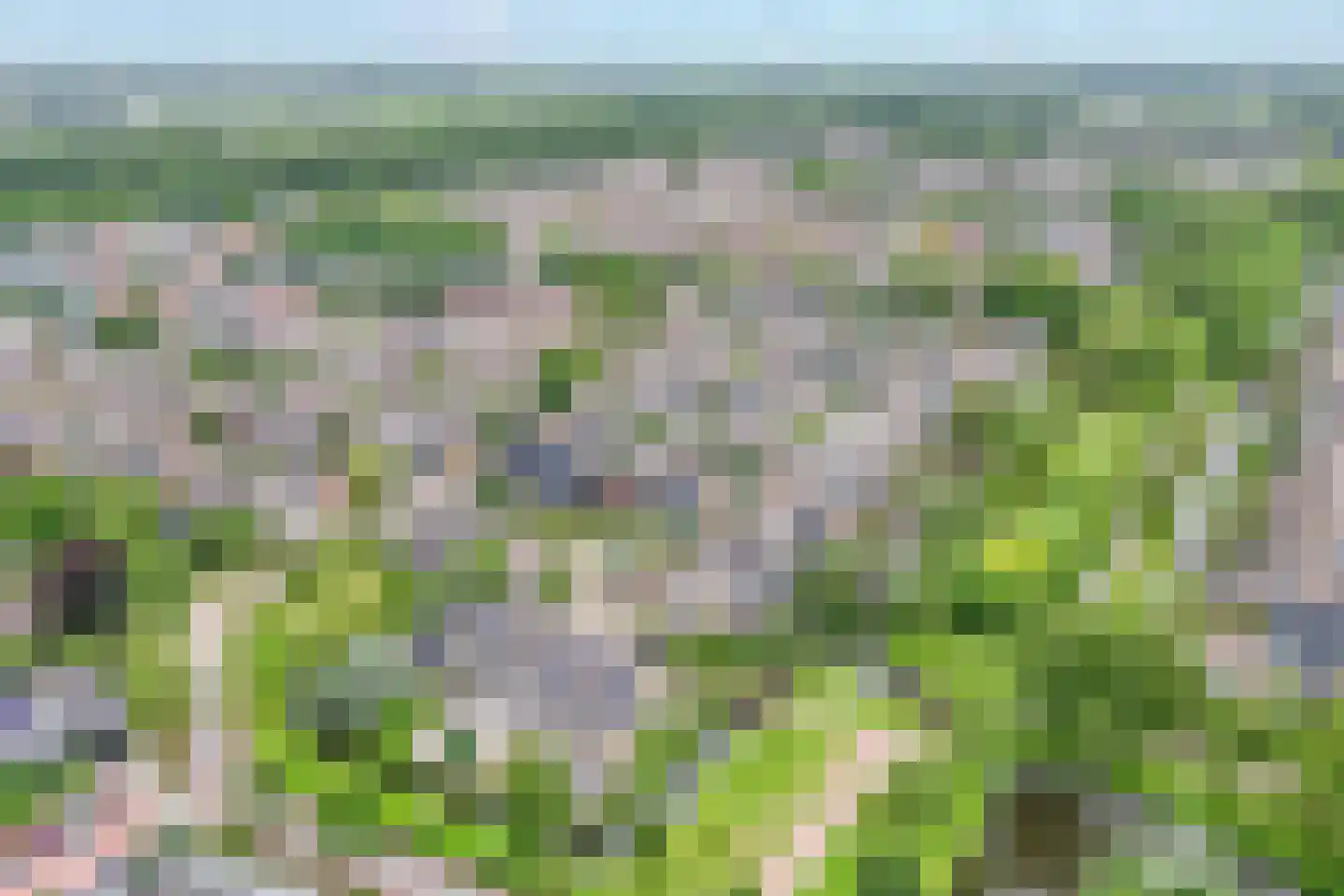 Veenmos 42 Nieuwerkerk aan den IJssel thumbnail 68