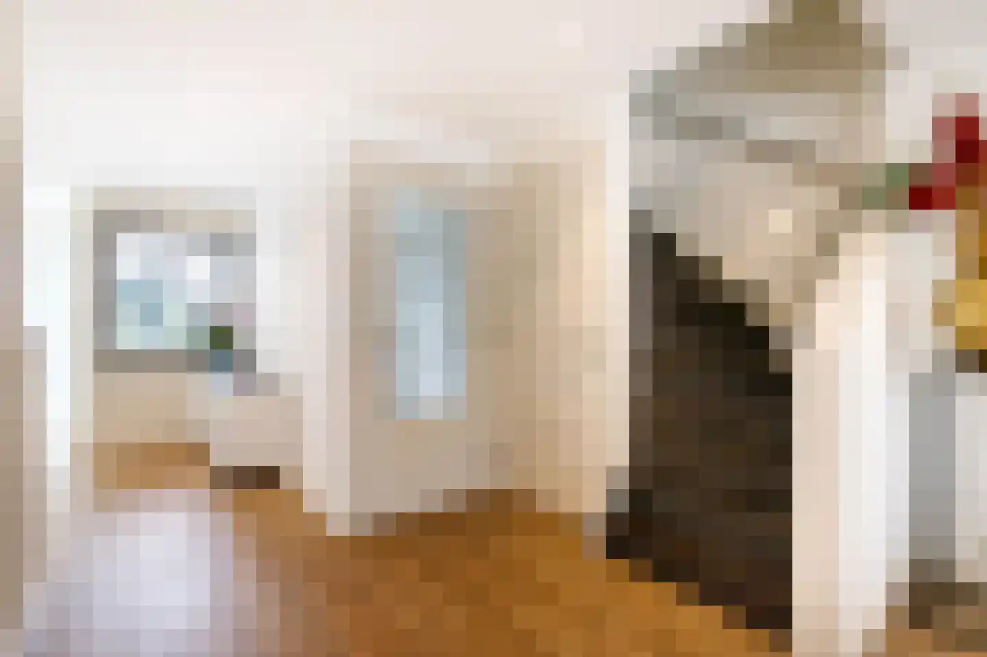 Veenmos 42 Nieuwerkerk aan den IJssel thumbnail 8