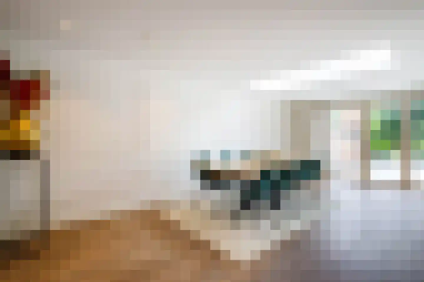 Veenmos 42 Nieuwerkerk aan den IJssel thumbnail 9