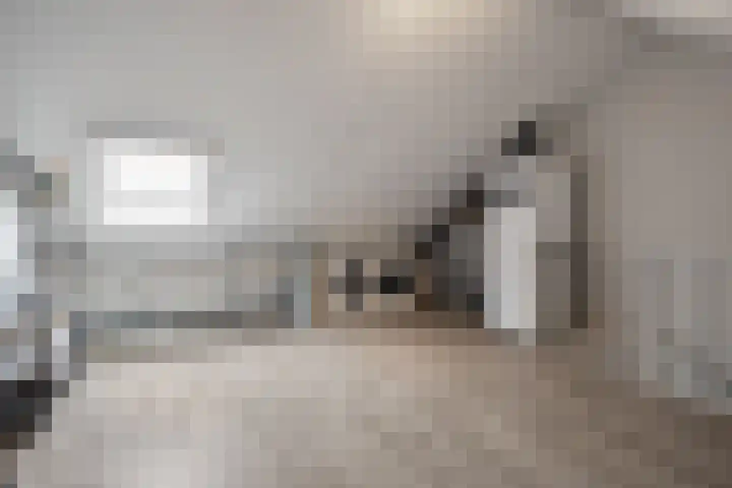 Veenmos 43 Boekel thumbnail 21