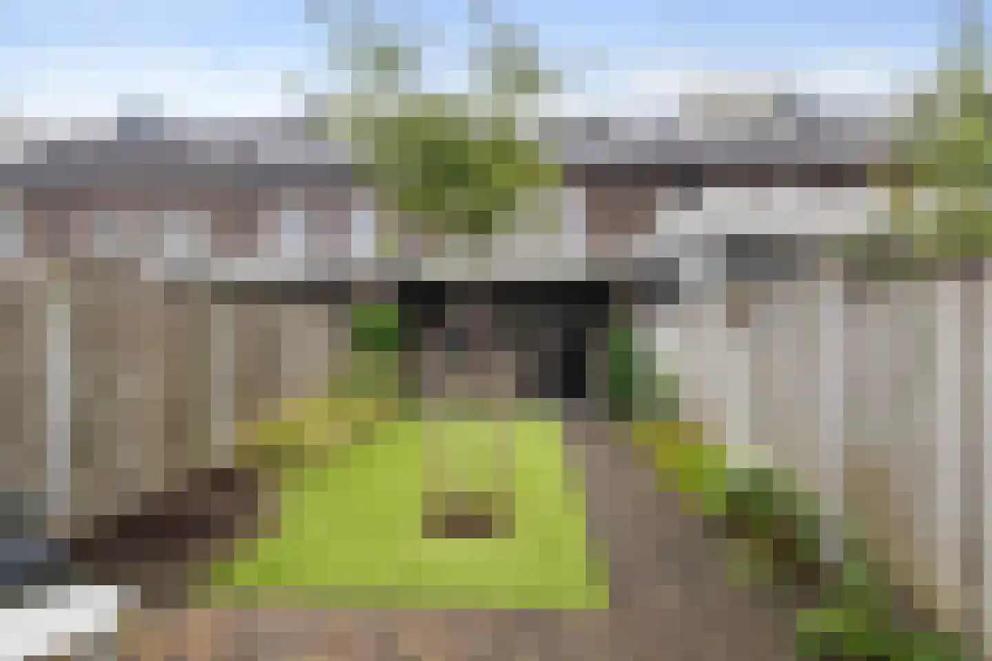 Veenmos 43 Boekel thumbnail 23