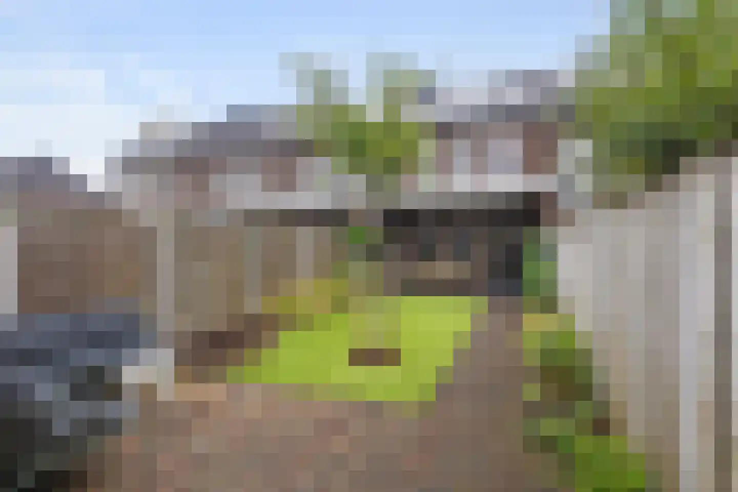 Veenmos 43 Boekel thumbnail 24