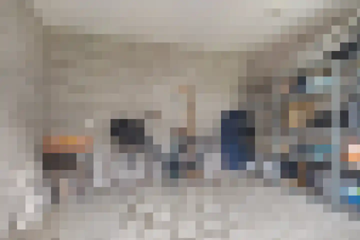 Veenmos 43 Boekel thumbnail 30