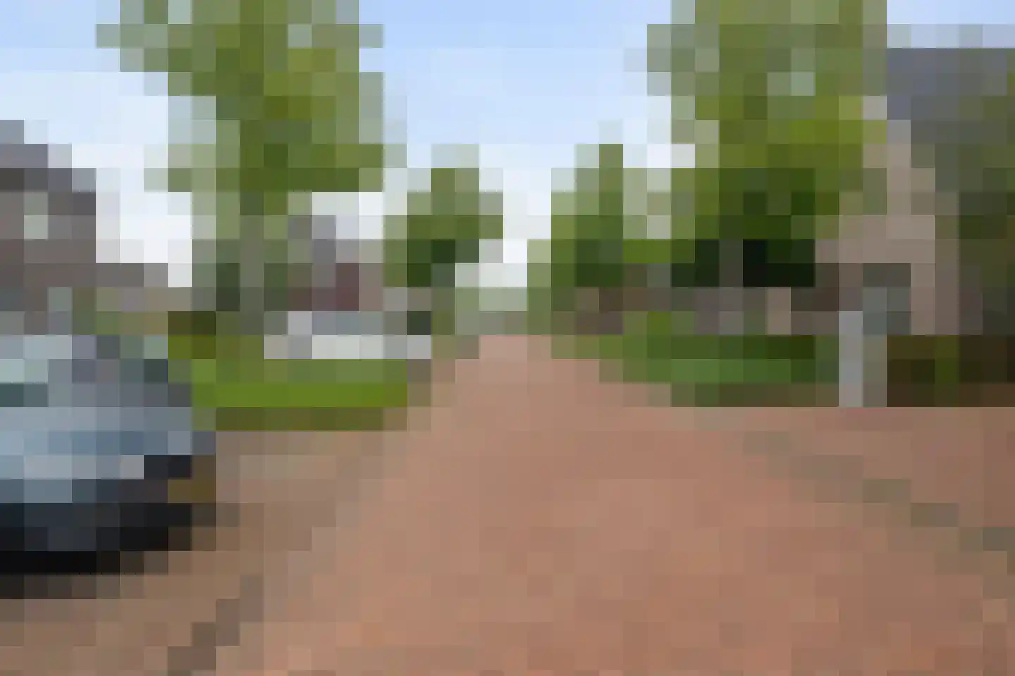Veenmos 43 Boekel thumbnail 33