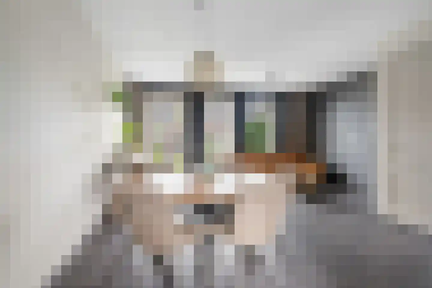 Veenmos 43 Boekel thumbnail 6