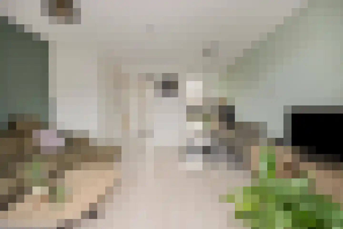Veenmos 45 Boekel thumbnail 18